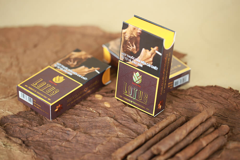 Cigar Lotus Club Special Edition - Hộp 10 điếu - Thuốc Lá Chính Hãng