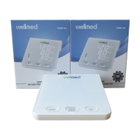 Máy đo huyết áp bắp tay Wellmed FDBP A4 (Cáp USB)